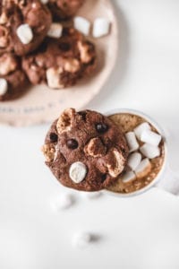 hot chocolate cookies veggiekins