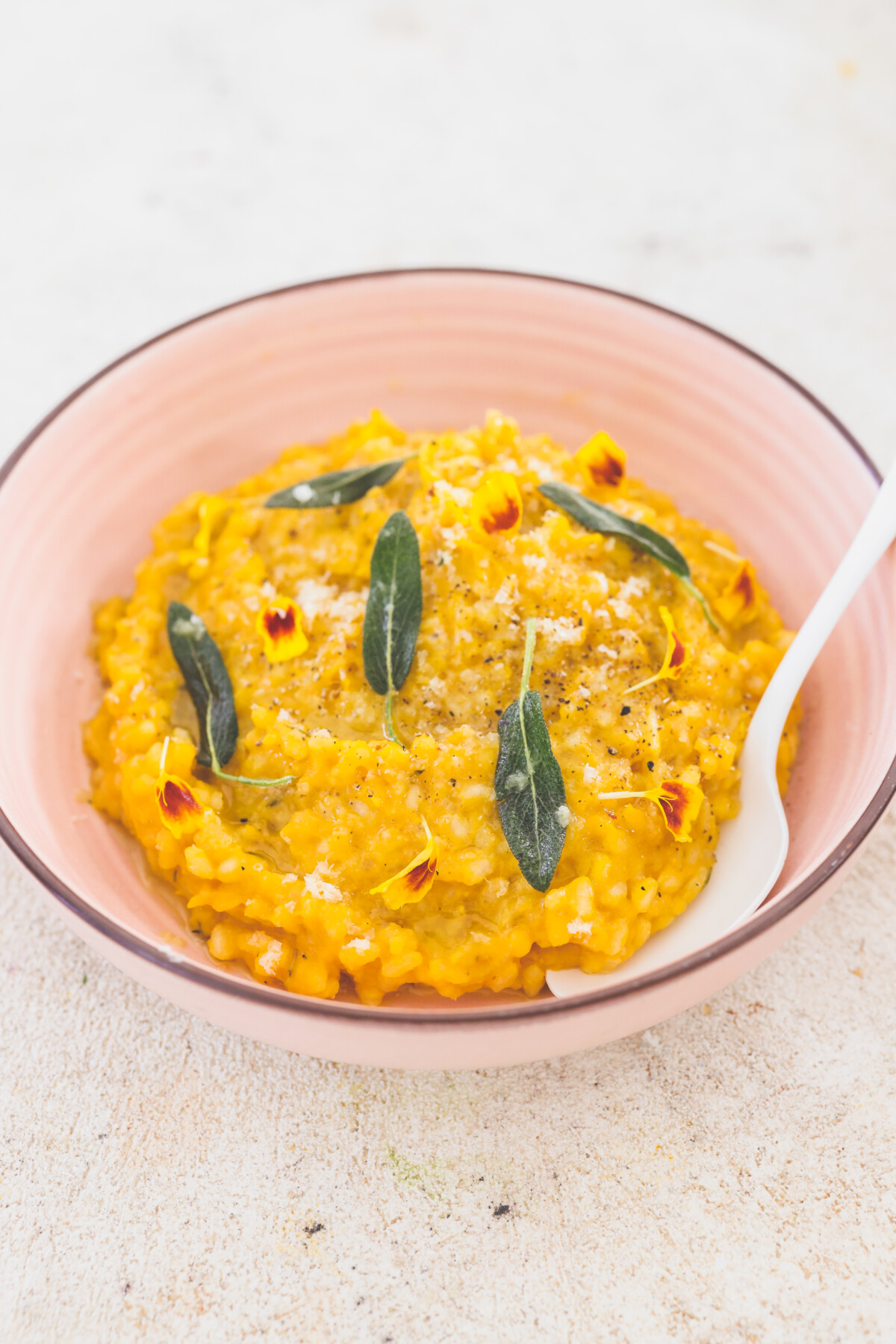 butternut squash risotto in a pink bowl with a white spoon 