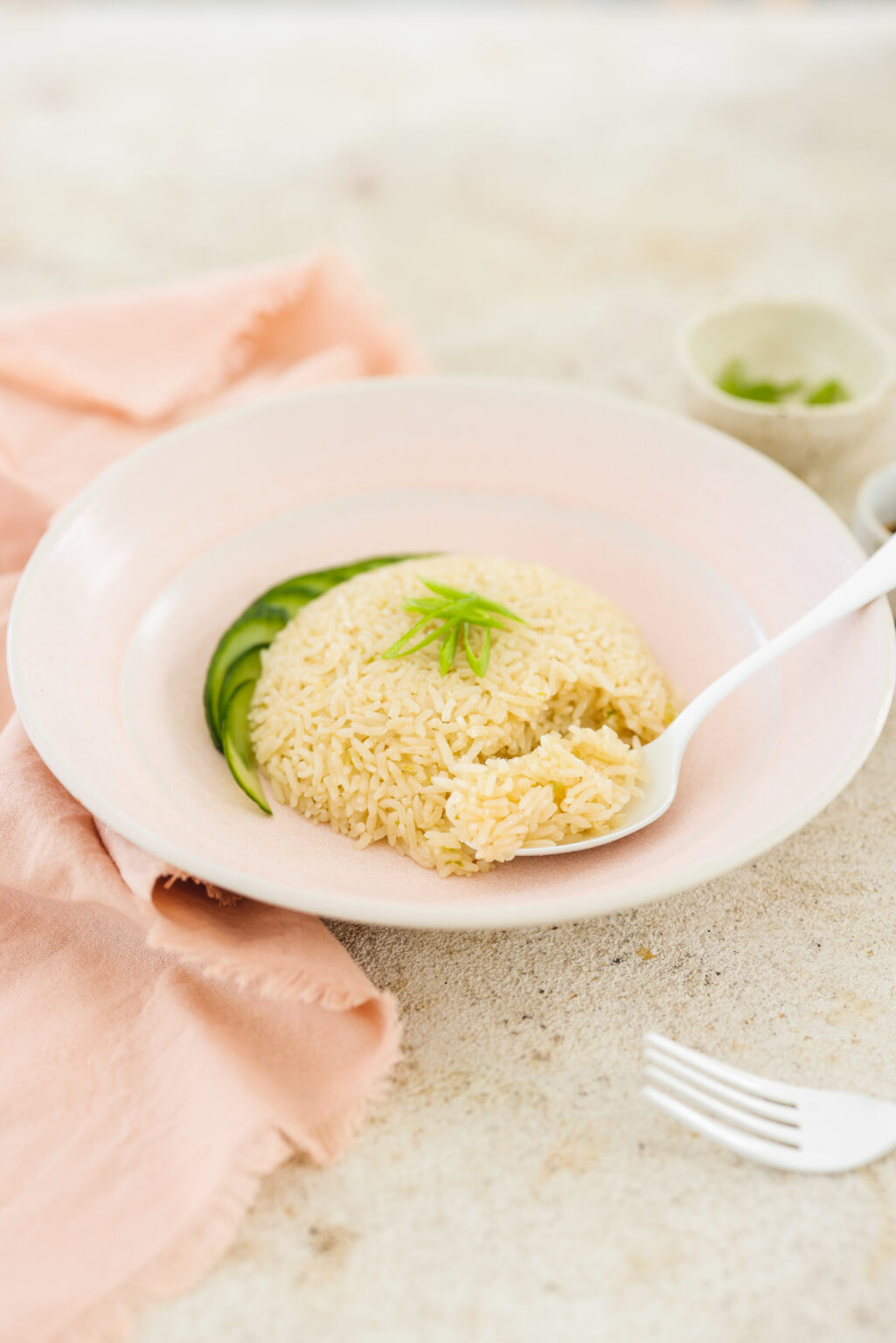 Hanainese Rice Easy Vegetarian Hainanese