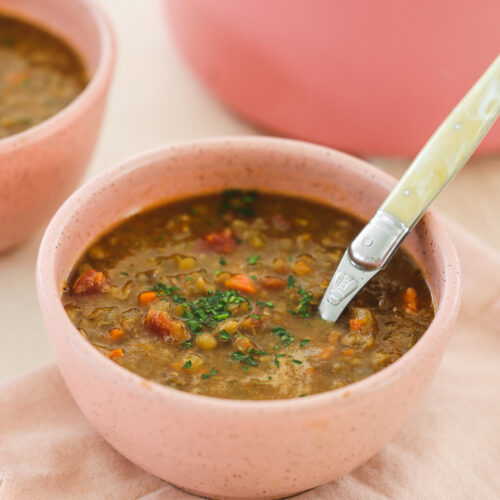 Lentil-Soup-2023-Veggiekins-