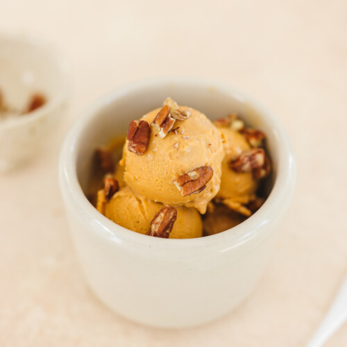 Dairy Free Ninja Creami Pumpkin Ice Cream